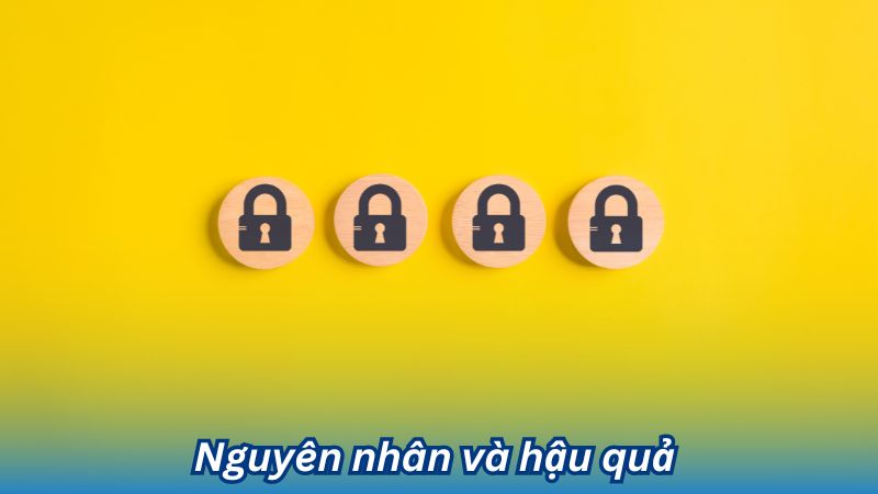 Nguyên nhân và hậu quả 