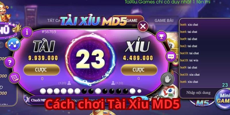 Cách chơi Tài Xỉu MD5